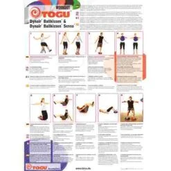 Togu Dynair Ballkissen "Senso 33 Cm" Ball Cushion -Fitness Gear Shop 128 4007 1