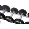 Sport-Thieme Double Storage Rack For Dumbbells -Fitness Gear Shop 145 9252 1