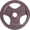 Sport-Thieme Competition Cast Iron Weight Disc -Fitness Gear Shop 146 2311