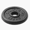 Sport-Thieme "Cast Iron" Weight Plates -Fitness Gear Shop 146 4812