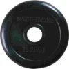 Sport-Thieme "Gummiert" Weight Plates