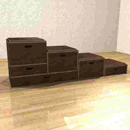 Sport-Thieme Combi Plyo Box Set 4 Sport-Thieme Combi Plyo Box Set - Image 2