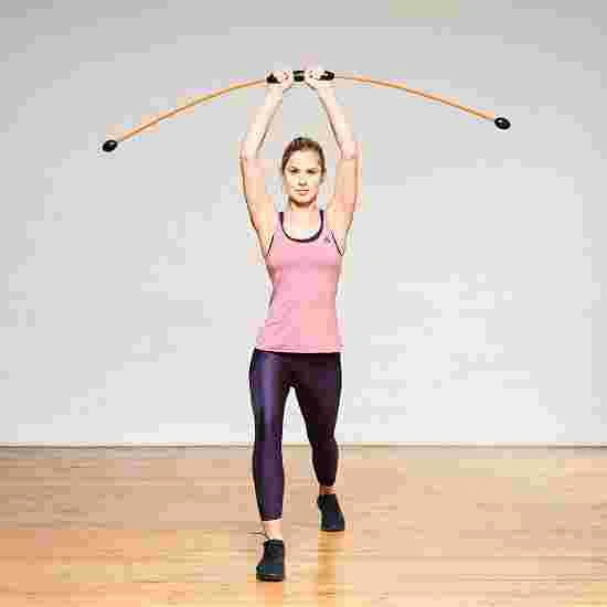 Sport-Thieme Oscillating Fitness Bar 8 Sport-Thieme Oscillating Fitness Bar - Image 6