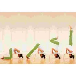 Feetup "Classic" Trainer -Fitness Gear Shop 259 6802 2