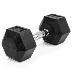 Sport-Thieme Rubber Hex Dumbbell -Fitness Gear Shop 267 3211