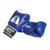Green Hill Boxing Gloves -Fitness Gear Shop 291 8004