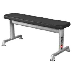 Sport-Thieme "OV" Flat Bench
