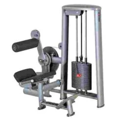 Sport-Thieme "OV" Back Extension Machine -Fitness Gear Shop 312 8217