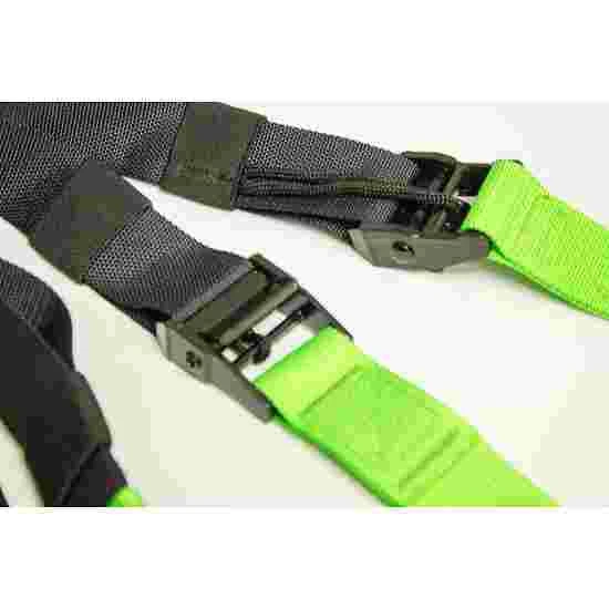 Schildkröt "Switch" 3 Schildkröt "Switch"