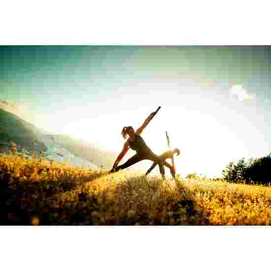 Stick Mobility Exercise Stick 12 Stick Mobility Exercise Stick - Image 10