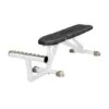 Sport-Thieme "SQ" Multipurpose Bench -Fitness Gear Shop 325 6800